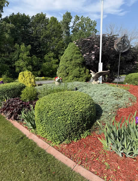 Lawn and Yard Maintenance Services Offered