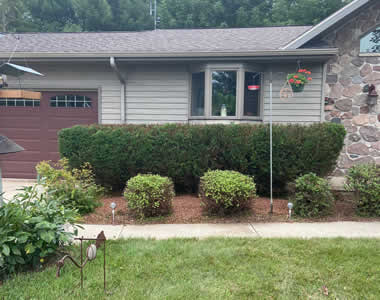 Yard Maintenance